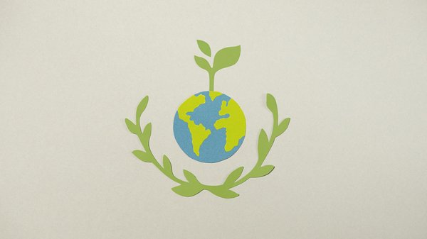 Panneau solaire photovoltaïque : découvrez les avis clients !